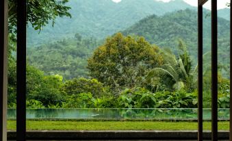 The Setumbu Experience, ARTOTEL Curated
