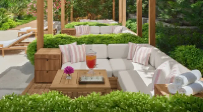 ذا بودرم إديشن