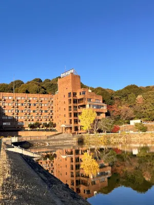 도요카와 그랜드 호텔 도요카와 륙상경기장 주변 호텔