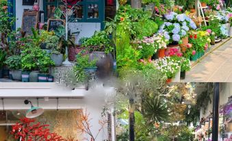 Puyun Shengsheng Hotel