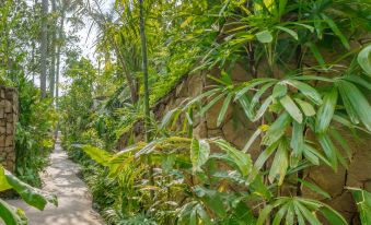 Jungle Flower Villas