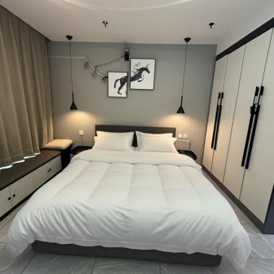 Juqi Light Luxury Homestay (Wanhao Century Plaza) Hotels near Changchun Century Square