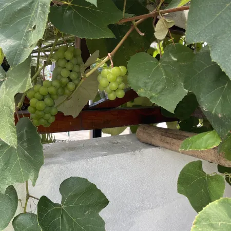 Haiyue Xiaozhu Homestay