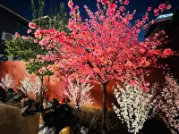 Moyu·Taohuage | Song Dynasty Aesthetics (Wanshui Mountain Wuxia City Store)