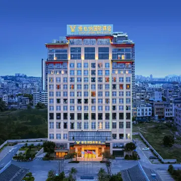 Vienna International Hotel (Ningming Huashan)