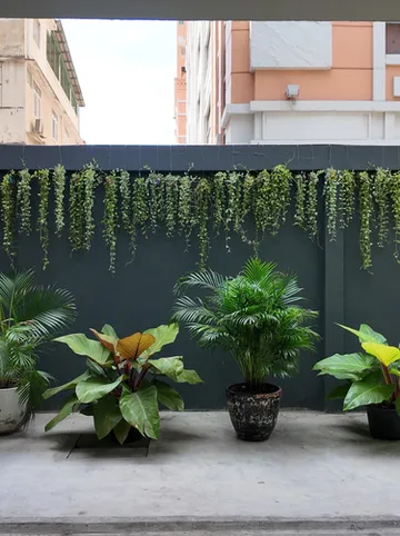 รูปภาพของโรงแรม เลสตัน