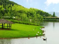 Bory Hotel - Scenic