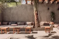 Cook's Club El Gouna - bars