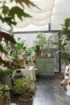 Xi’an Jasmine Boutique Inn