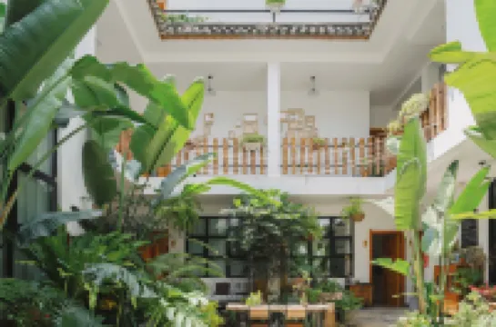 大理浮游·植物手作·ガーデン庭園民宿（大理古城洱海門）