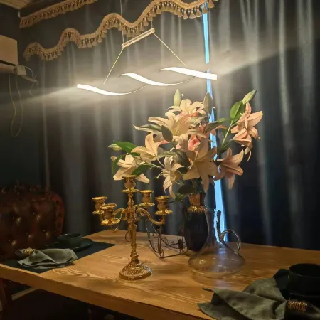 Aiyu Smart Cinema Apartment (Changchun Lunzhong Branch)