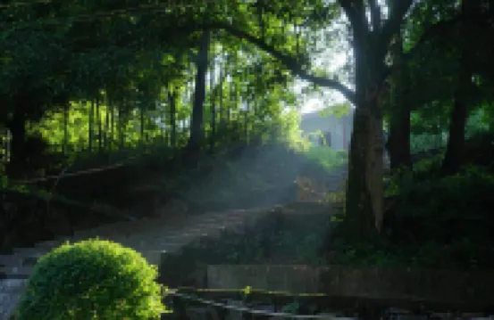 Attraction Zhong Inn (Biancheng Chayu Scenic Area)