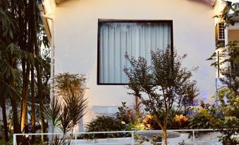 Slowdown Mountain B&B