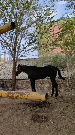 Jiashanchunshui Guesthouse