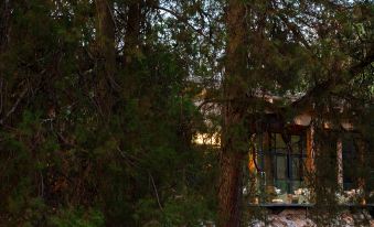 Deep Green · Catalpa Forest Oxygen Bar · Luxury Tree House in the Wild