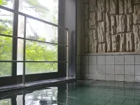 Route Inn Grantia Hidatakayama Wakura no yado - con terme