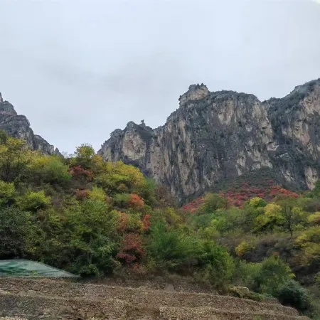 Shanhai Holiday Hotel (Bachuankou Gorge)