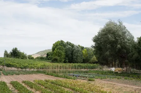 Castilla Termal Monasterio de Valbuena Отели в г. Оливарес-де-Дуэро