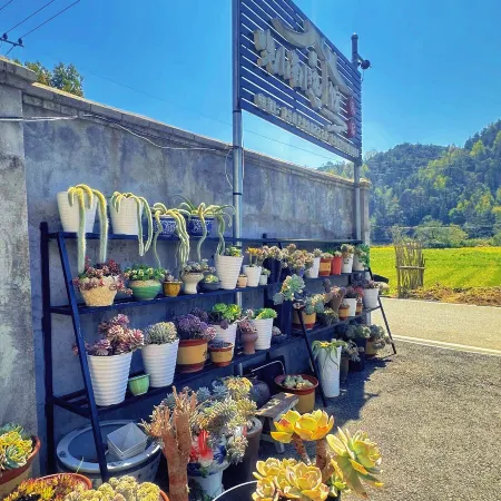 Qili ・ Xiaonan Yiguan Homestay