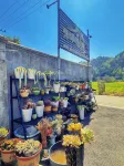 Qili ・ Xiaonan Yiguan Homestay Các khách sạn ở Chung Creek Park