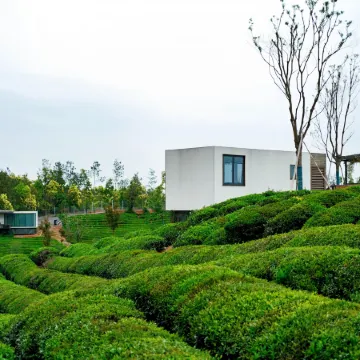 See Wild·YS Chongyang Glamping Retreat