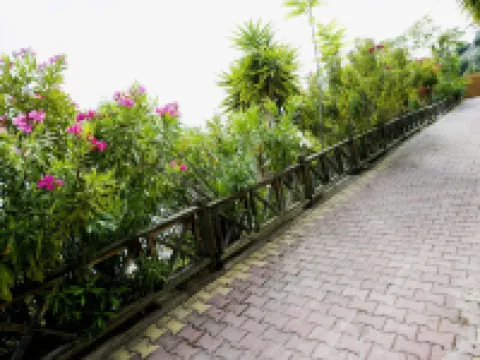 Penelope's Blue Sea Front Residenses Hotels in Edipsos