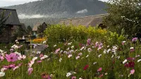Riverside· Garden Designer Courtyard Resort Homestay Hotels near Hemu Bridge