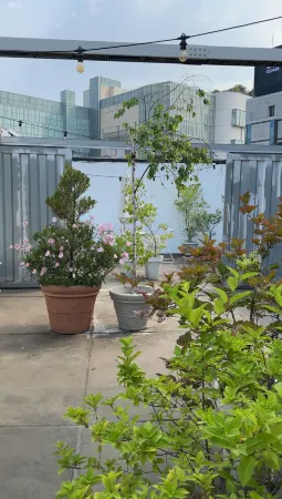 Yeongdeungpo Hotel le O Отели рядом с достопримечательностью «Abraham Park Kenneth Vine Collection Museum»