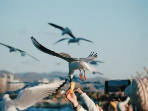 昆明滇池融創施柏閣酒店
