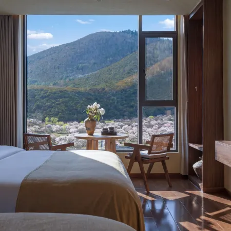 Mainling Jixianshan · Namcha Barwa · Scenic Homestay (Suosong Village)