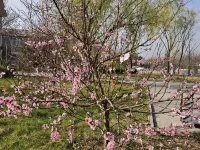 Hongyuan MiDuoer Hotel Lingshi İlçesi otelleri