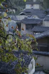 Pingnan Senkexiadi Homestay - Vuoristonäköala