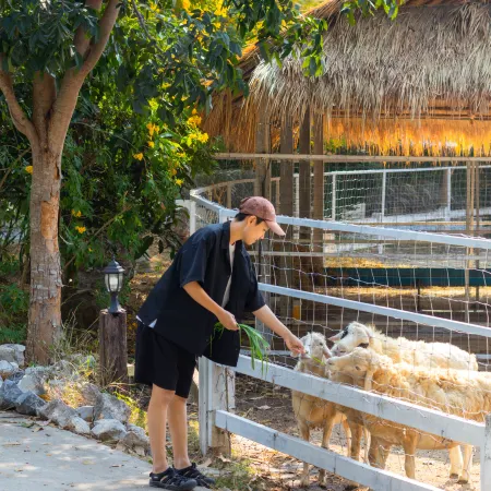Wellness World Chiva Khao Yai