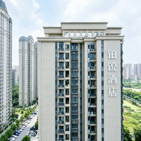 Boray Hotel (Yueyang High-speed Railway East Station)
