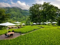 MT House Sa Pa - Mountain & Terraced fields View And Trekking Tour - 3-Star
