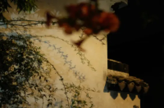 Alley Sunshine Hostel (Suzhou Zhuozhengyuan Pingjiang Road)