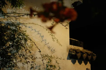 Alley Sunshine Hostel (Suzhou Zhuozhengyuan Pingjiang Road) Отели рядом с достопримечательностью «Countryside»