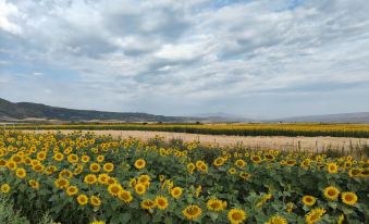 Gongliu Township Yao Xiaozhu Homestay