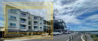Hong Yang Hotels near Cherry Blossom Road