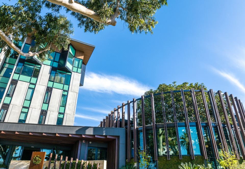 a modern building with a large tree in front of it , surrounded by grass and trees at Marion Hotel