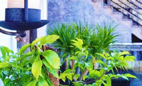Fan shu hotel - Housity