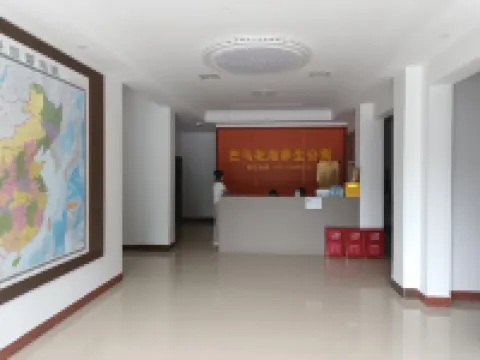 Bama Sea of Flowers Wellness Apartment (Bama Baimo Cave Scenic Area)