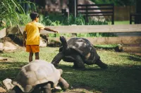 Raffles Seychelles - Family