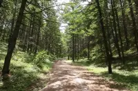 Fengning Huzi Homestay - Mountain view