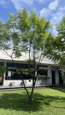 沐山汐·大理古城樸語民宿