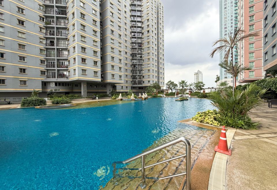 3. 더 나라티와스 ..