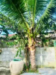 PRIVATE ROMITTO VILLA  POOL & GARDEN NEAR CUA DAI BEACH Hotels in Hoi An