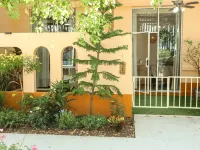 Sanshe Life Hostel