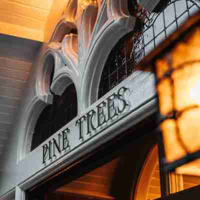 Pine Trees Hotel Pitlochry Hotel Exterior