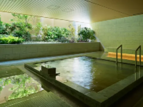 Mitsui Garden Hotel Kashiwa-No-Ha / Chiba Hotels in Kashiwa